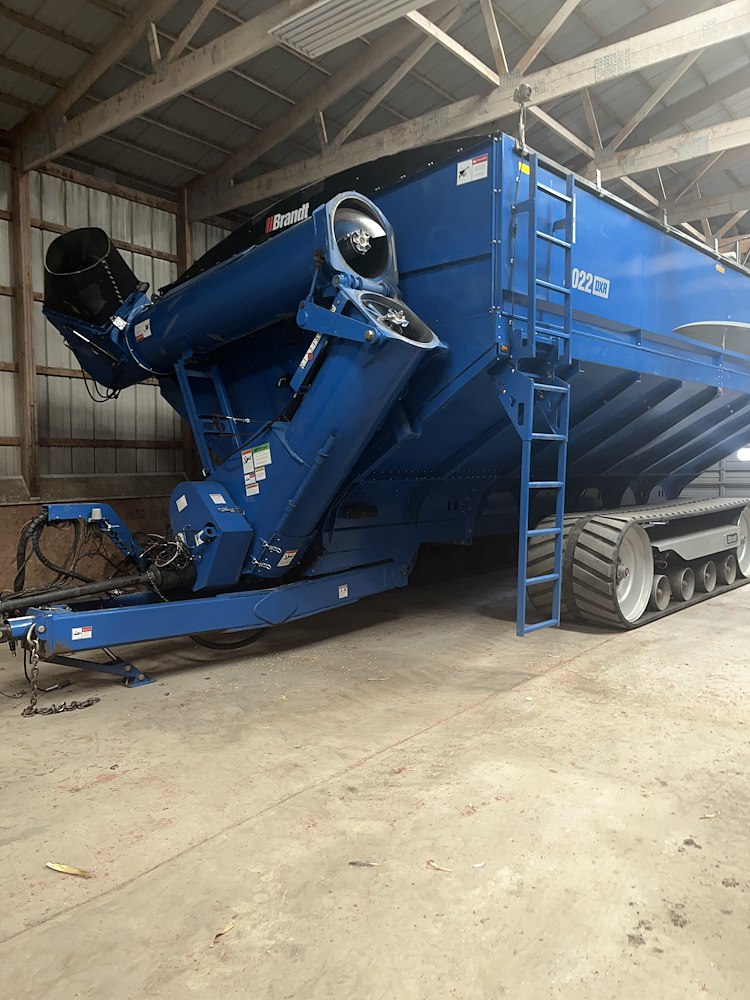 2019 Brandt 2022